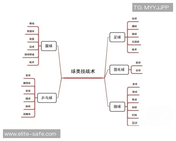 成都篮球队灵活性分析与战术适应性研究探讨